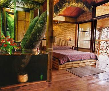 "Tranquil Resort”, Kerala, Indija