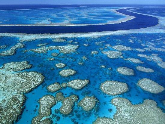 Veliki koralni greben Australija